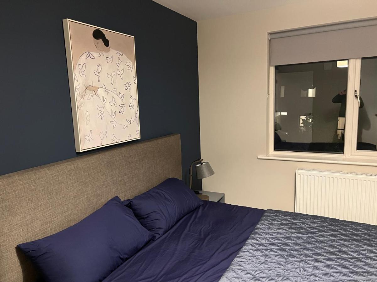 3 Bed Rooms Vip Family House Дублин Экстерьер фото